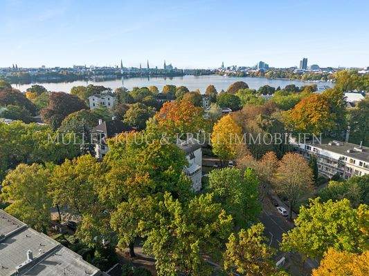 backbone_577089-A_007_HD