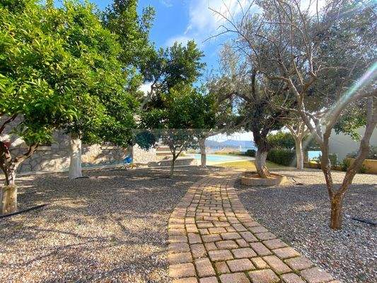 img_87580a6e-b3bd-44f2-bd83-bb67d1a2d529