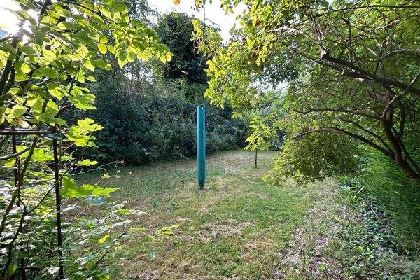 Garten hinter dem Haus