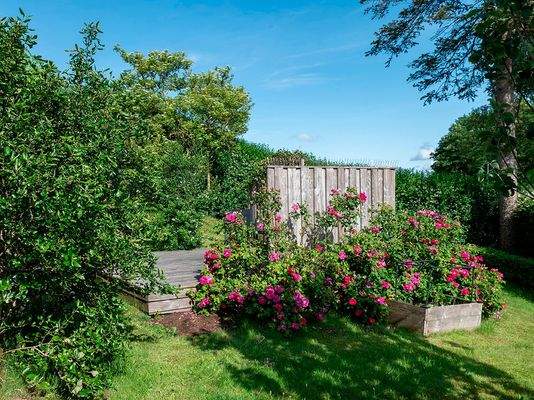 Kleine Gartenüberraschungen rund ums Haus