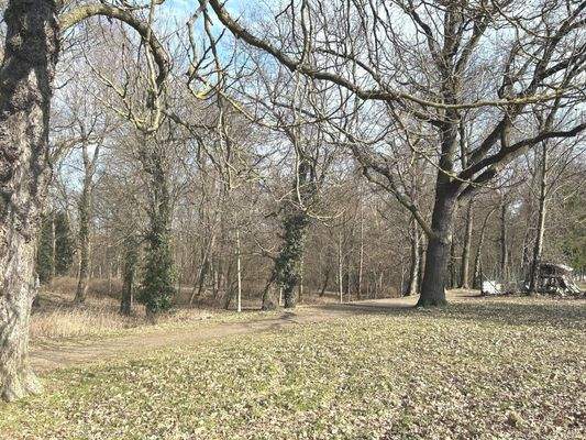 Winterblick in den Gutspark