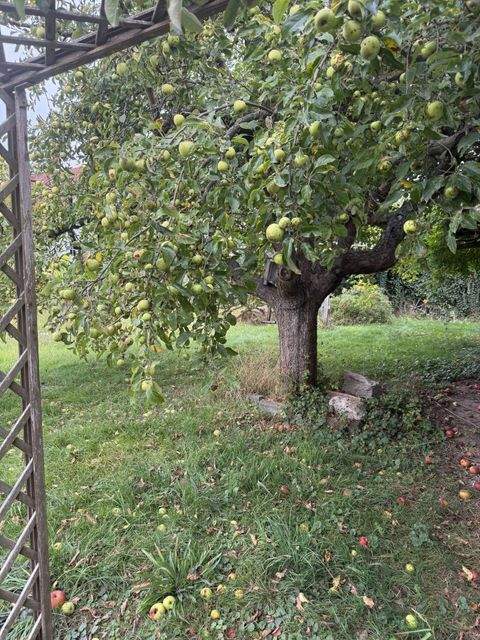 Otterwisch Grundstücke, Otterwisch Grundstück kaufen