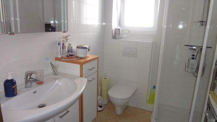 Badezimmer mit Dusche und WC EG