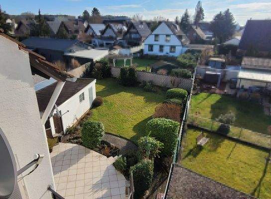 Blick in den sonnigen Garten