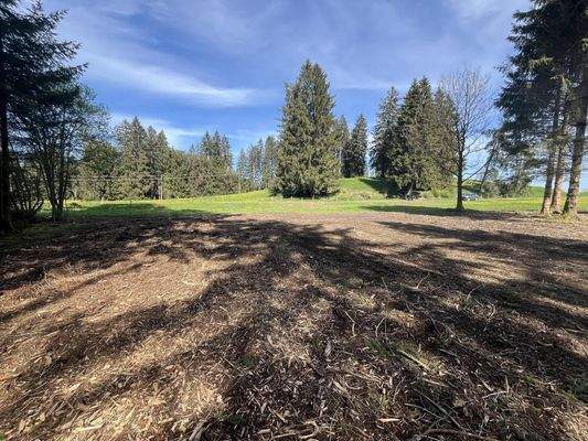 Freizeitgrundstück mit kleinem Waldanteil