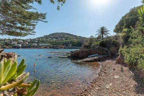 Anthéor Häuser, Anthéor Haus kaufen