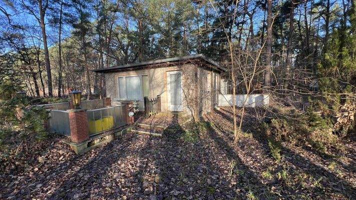 1123-2024-12-15 039.jpg