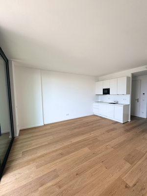 Wohnzimmer mit Einbauküche