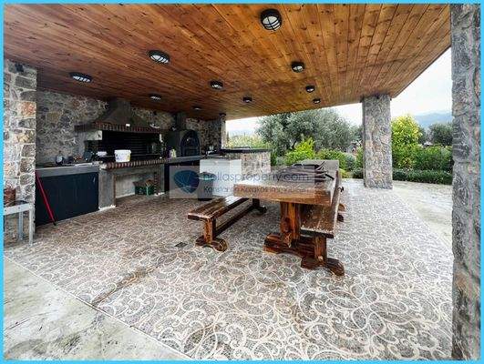 d416275b01634674afcb1583ce849896-original