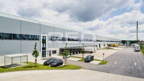 Köln Halle, Köln Hallenfläche