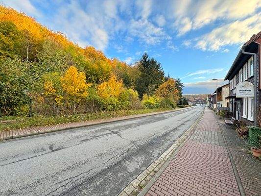 Straße nach Bad Sachsa