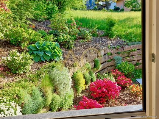 Top 3  Terrasse und Gartenparadies (1)