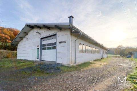 Pfeffelbach Halle, Pfeffelbach Hallenfläche