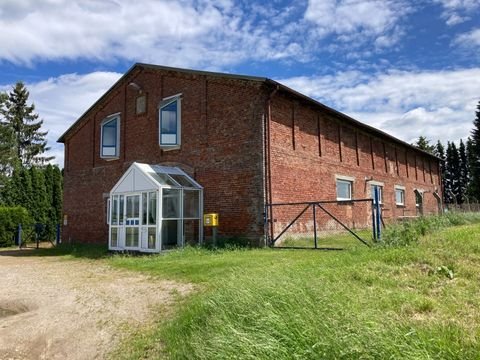 Wackerow Halle, Wackerow Hallenfläche