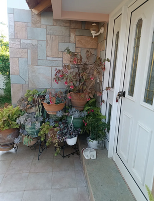 Kreta, Kokkini Hani: 2-stöckiges Haus zu verkaufen