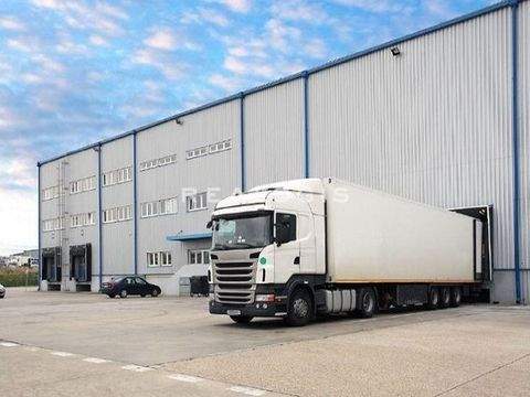 Grub am Forst Halle, Grub am Forst Hallenfläche