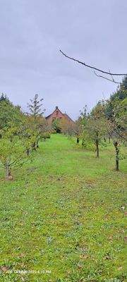 Blick vom Grundstücksende