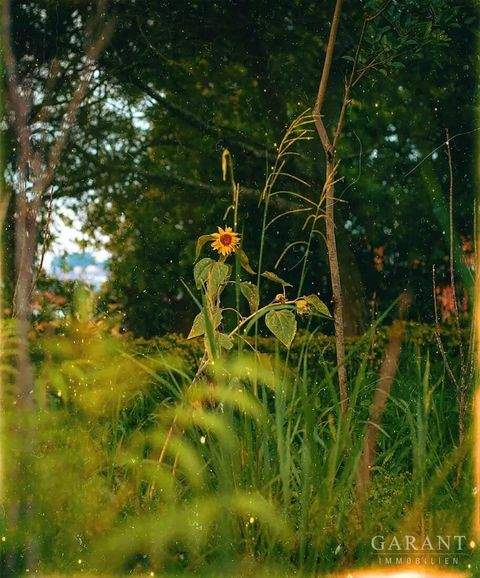 Diedorf Grundstücke, Diedorf Grundstück kaufen