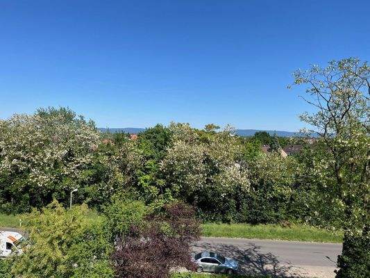 Blick Richtung See bzw. HD