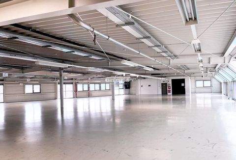 Erfurt Halle, Erfurt Hallenfläche