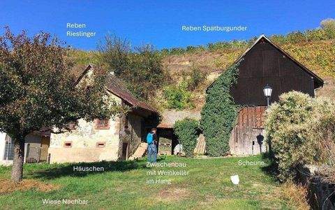 Vogtsburg im Kaiserstuhl Bauernhöfe, Landwirtschaft, Vogtsburg im Kaiserstuhl Forstwirtschaft