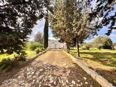 Carovigno Häuser, Carovigno Haus kaufen