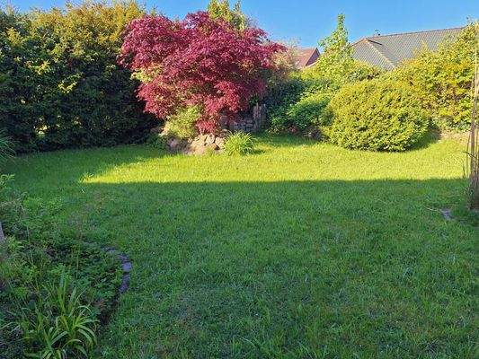 großer, begrünter Garten