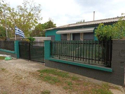 Thessaloniki Häuser, Thessaloniki Haus kaufen