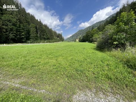 Murau Bauernhöfe, Landwirtschaft, Murau Forstwirtschaft