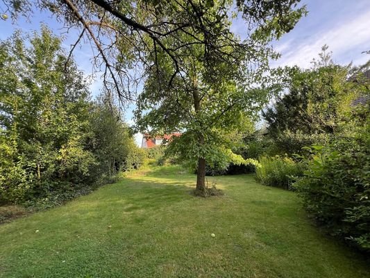 Garten mit altem Baumbestand