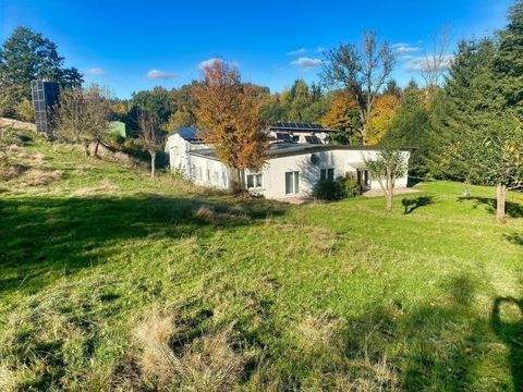 Netzschkau Häuser, Netzschkau Haus kaufen