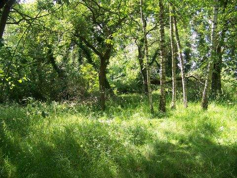 Großharthau Grundstücke, Großharthau Grundstück kaufen