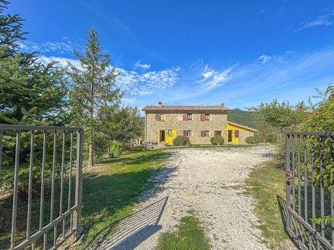 Apecchio Häuser, Apecchio Haus kaufen