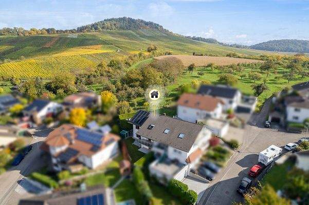 Ausblick in die Weinberge