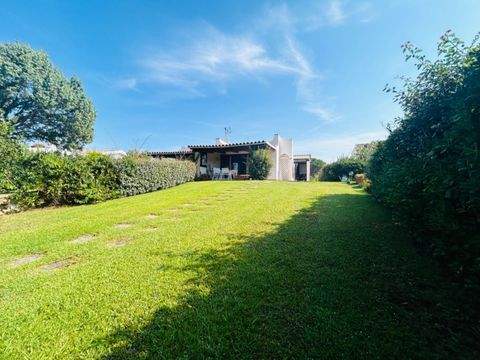 Baja Sardinia, Cala Bitta - SARDINIEN Häuser, Baja Sardinia, Cala Bitta - SARDINIEN Haus kaufen