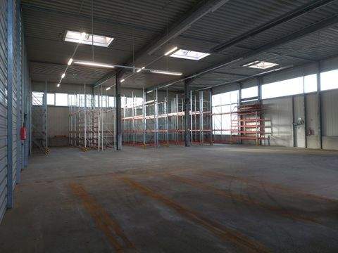 Buxtehude Halle, Buxtehude Hallenfläche