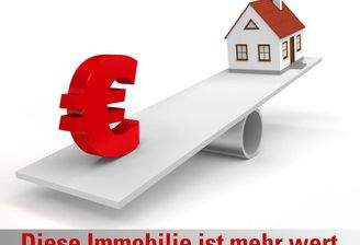 Diese-Immobilie-ist-mehr-wert-als-sie-vie