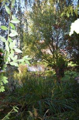 Parkidylle inklusive...