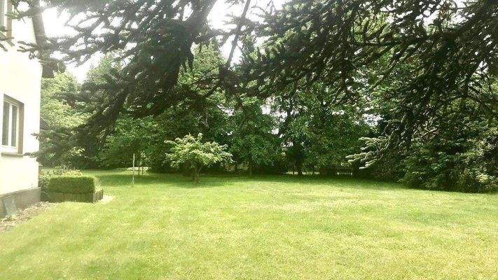 Blick von der Straße.jpg