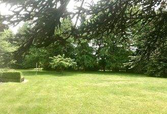 Blick von der Straße.jpg