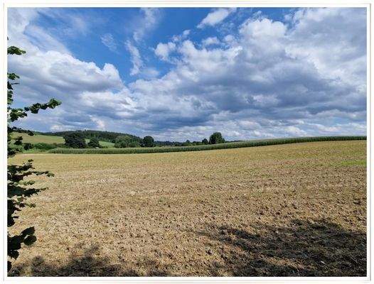 Wohnen gleich am Feldrand