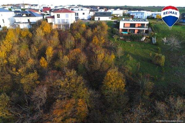 RE/MAX Immobilien DeLux Grundstück Wincheringen