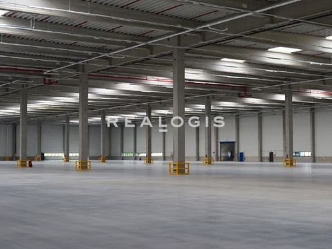 Sehnde Halle, Sehnde Hallenfläche