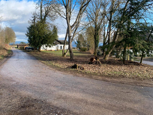 6adb904f-5d71-4797-b903-8d004b10b865