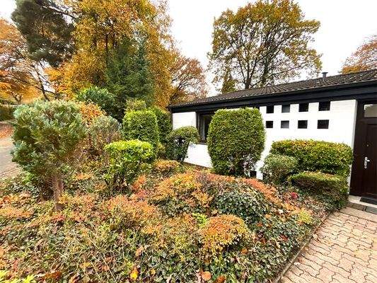 Garten Straßenseite