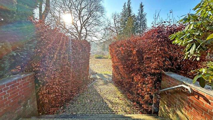 Blick in den Gartenbereich