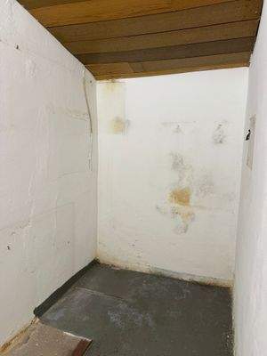 WhatsApp Image 2026-03-09 at 02.28.53 (18).jpeg