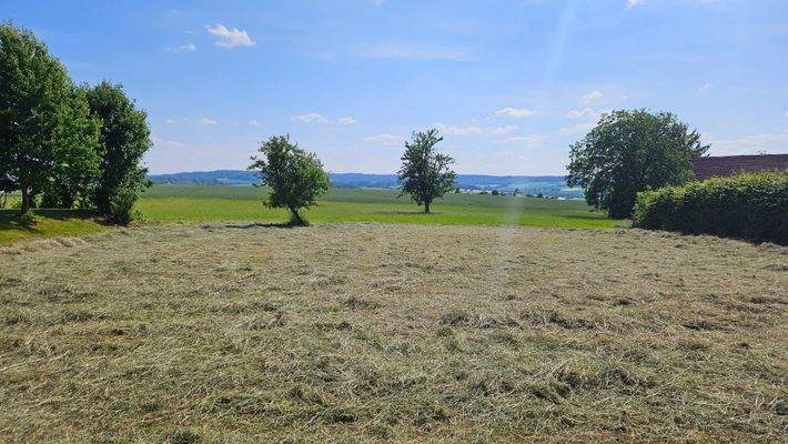 Aussicht vor dem Haus