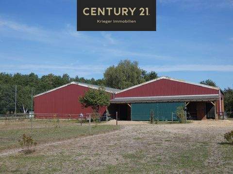 Prezelle Häuser, Prezelle Haus kaufen