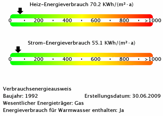 Energieverbrauchswerte 10313